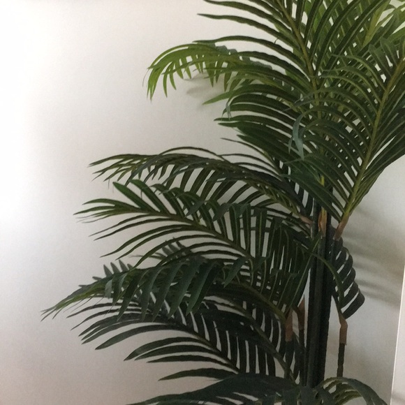 Meet your Posher, Millon - Picture 1 of 1